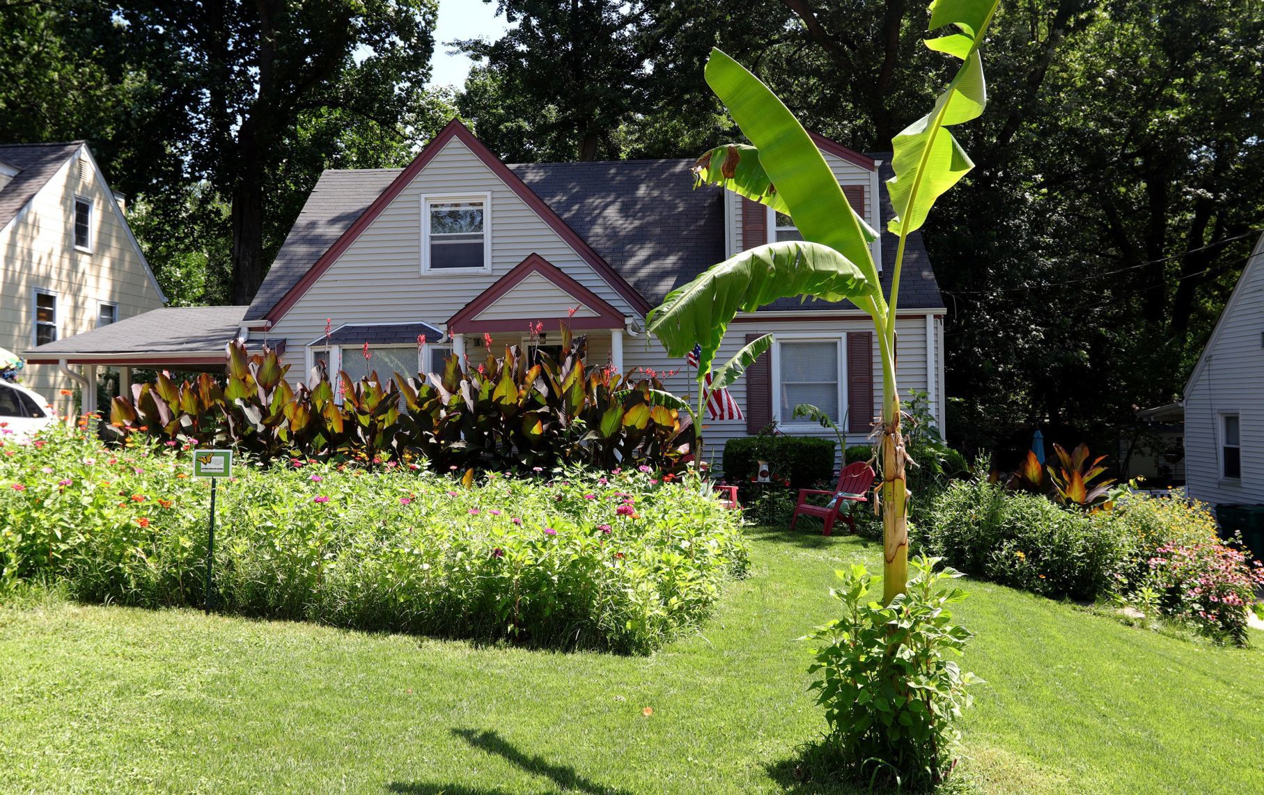 At Home in Webster Groves garden